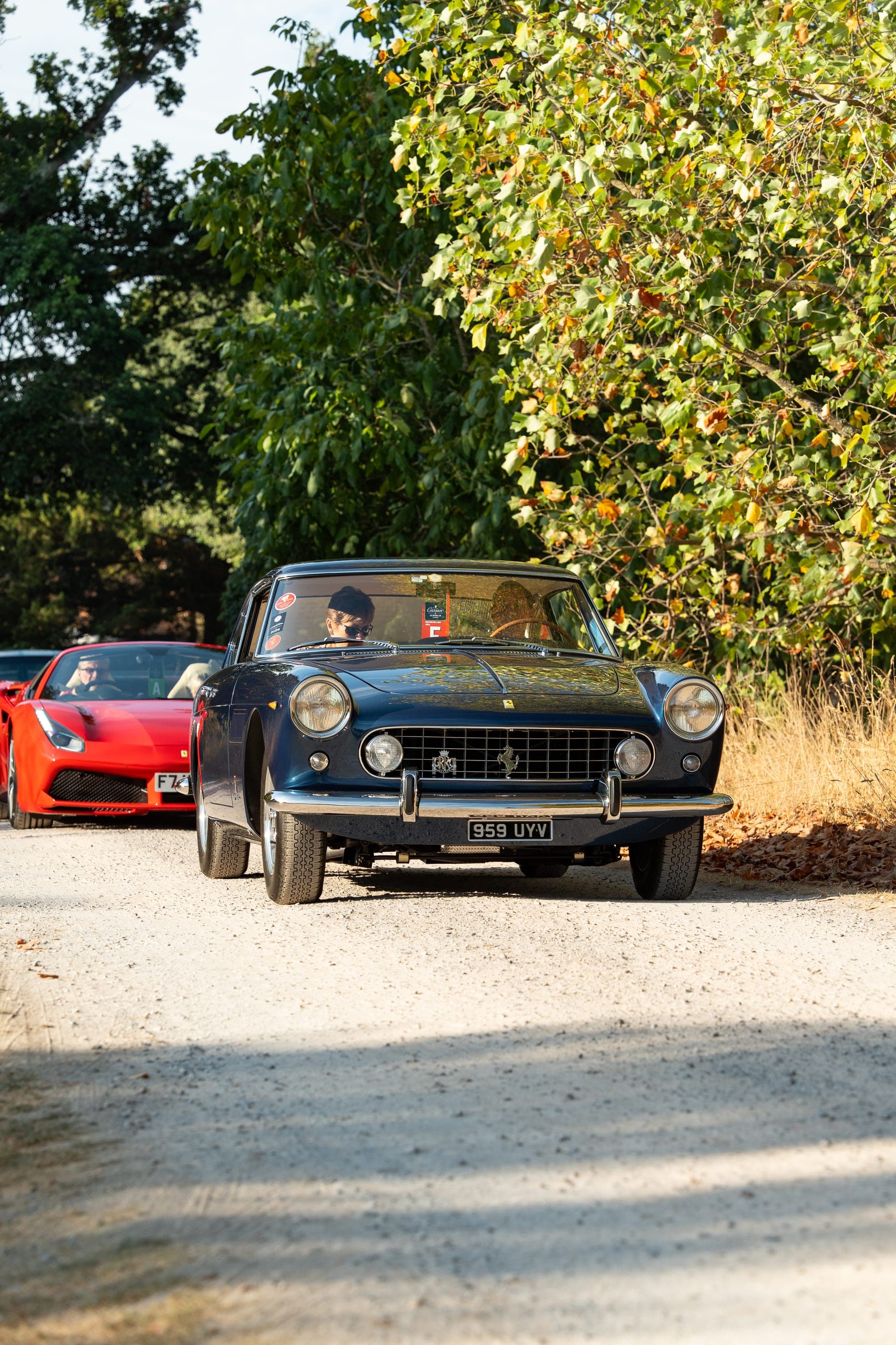 canford-classic-2026 photo 007